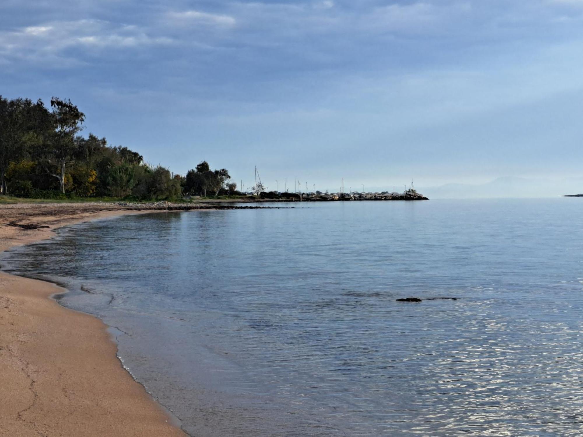 Seashell Apartment Αρτέμιδα Εξωτερικό φωτογραφία