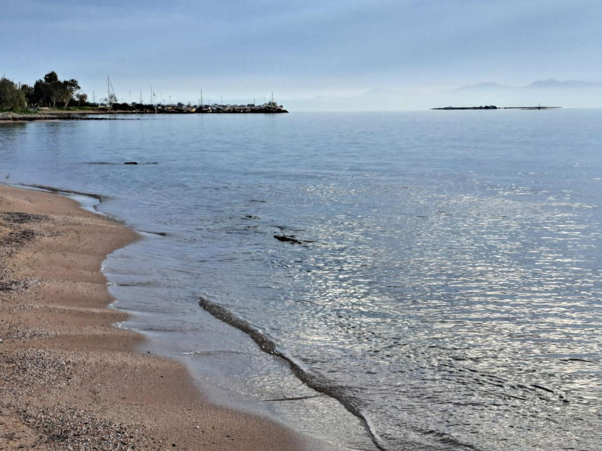 Seashell Apartment Αρτέμιδα Εξωτερικό φωτογραφία