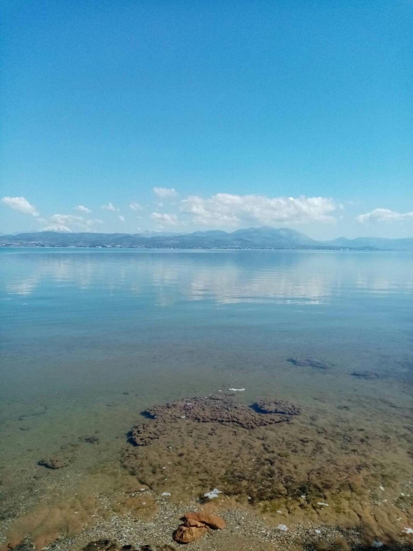 Seashell Apartment Αρτέμιδα Εξωτερικό φωτογραφία