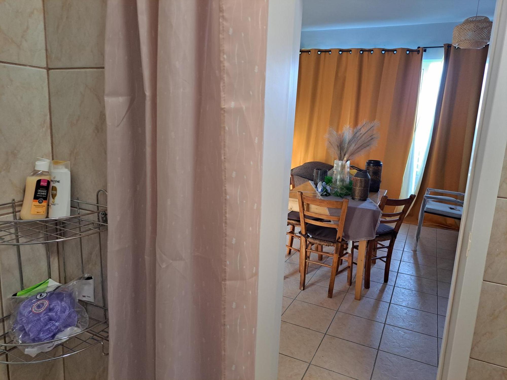 Seashell Apartment Αρτέμιδα Εξωτερικό φωτογραφία